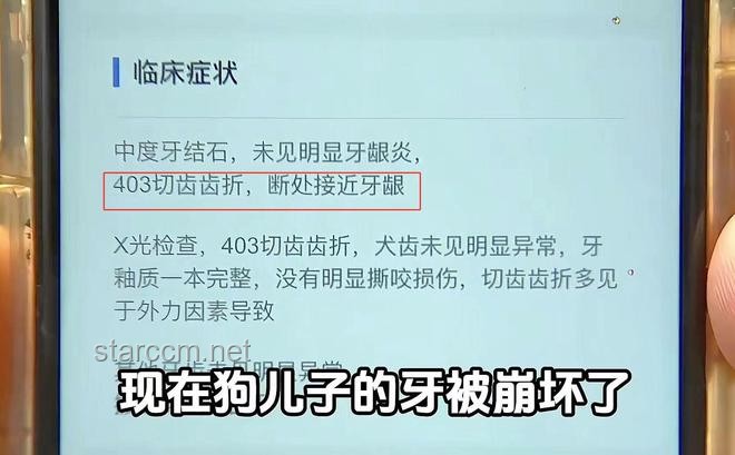 女子立遗嘱给宠物狗留遗产：遗产规划新趋势与宠物继承权探讨